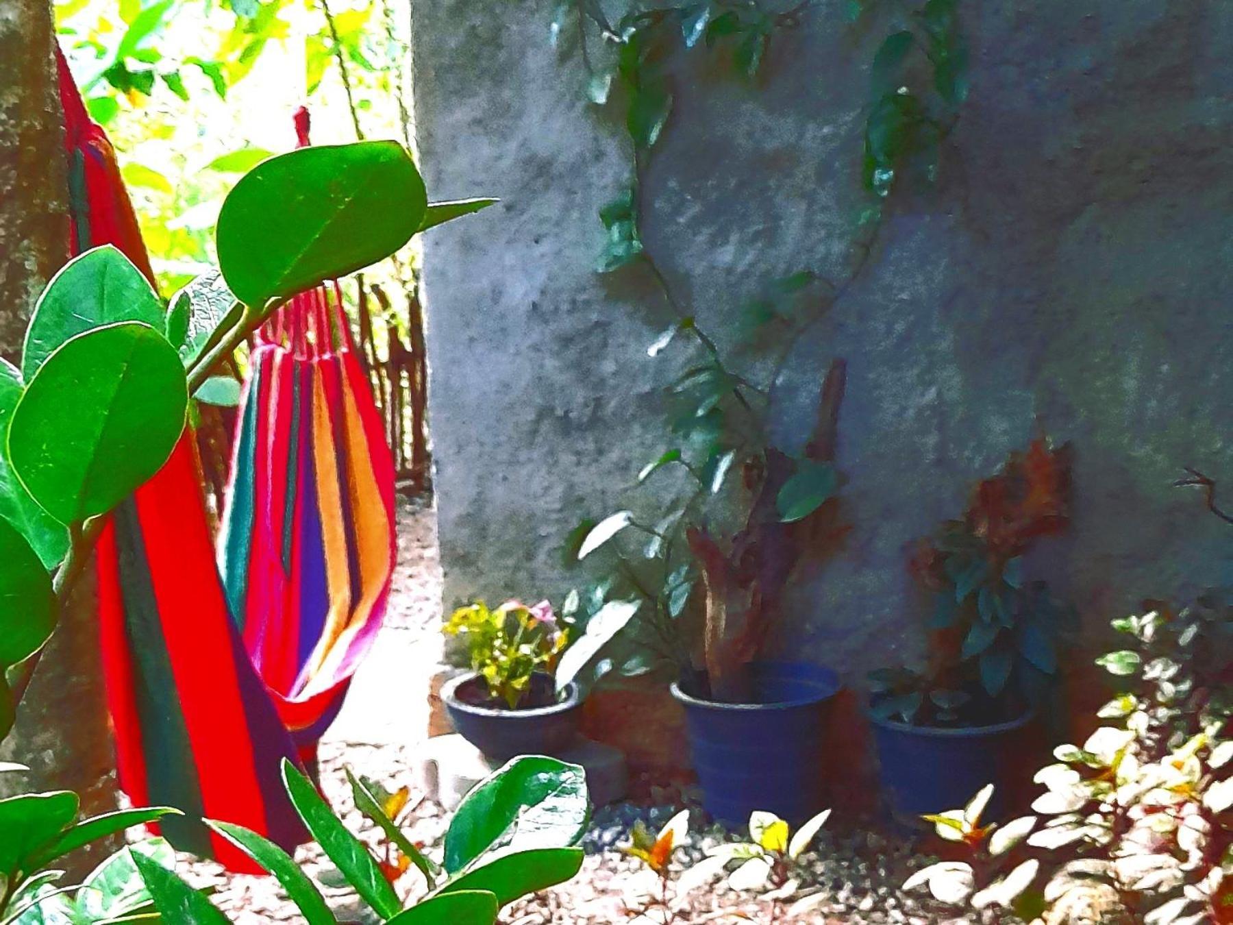Linu Homestay ดิคเวลลา ภายนอก รูปภาพ