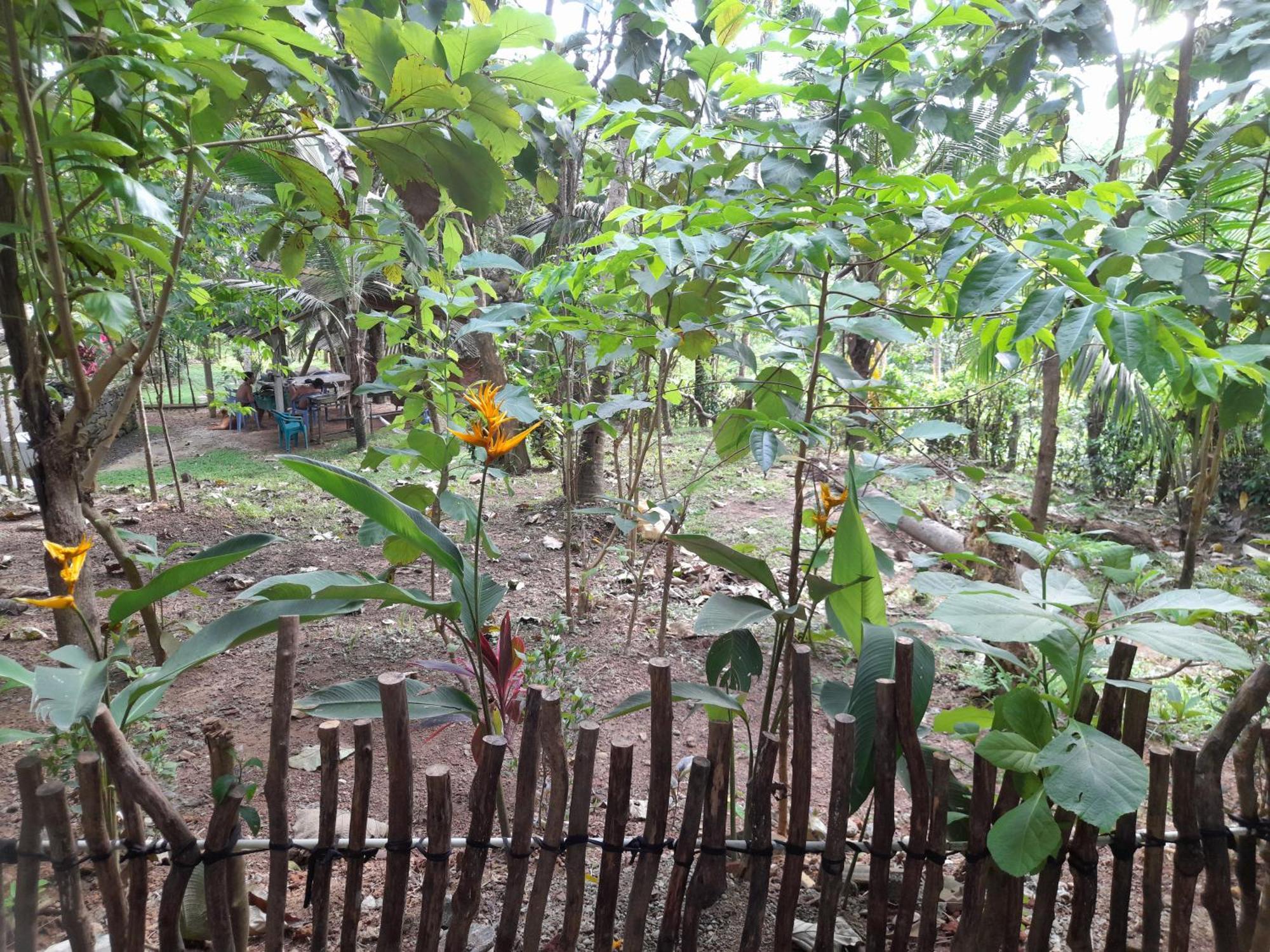 Linu Homestay ดิคเวลลา ภายนอก รูปภาพ