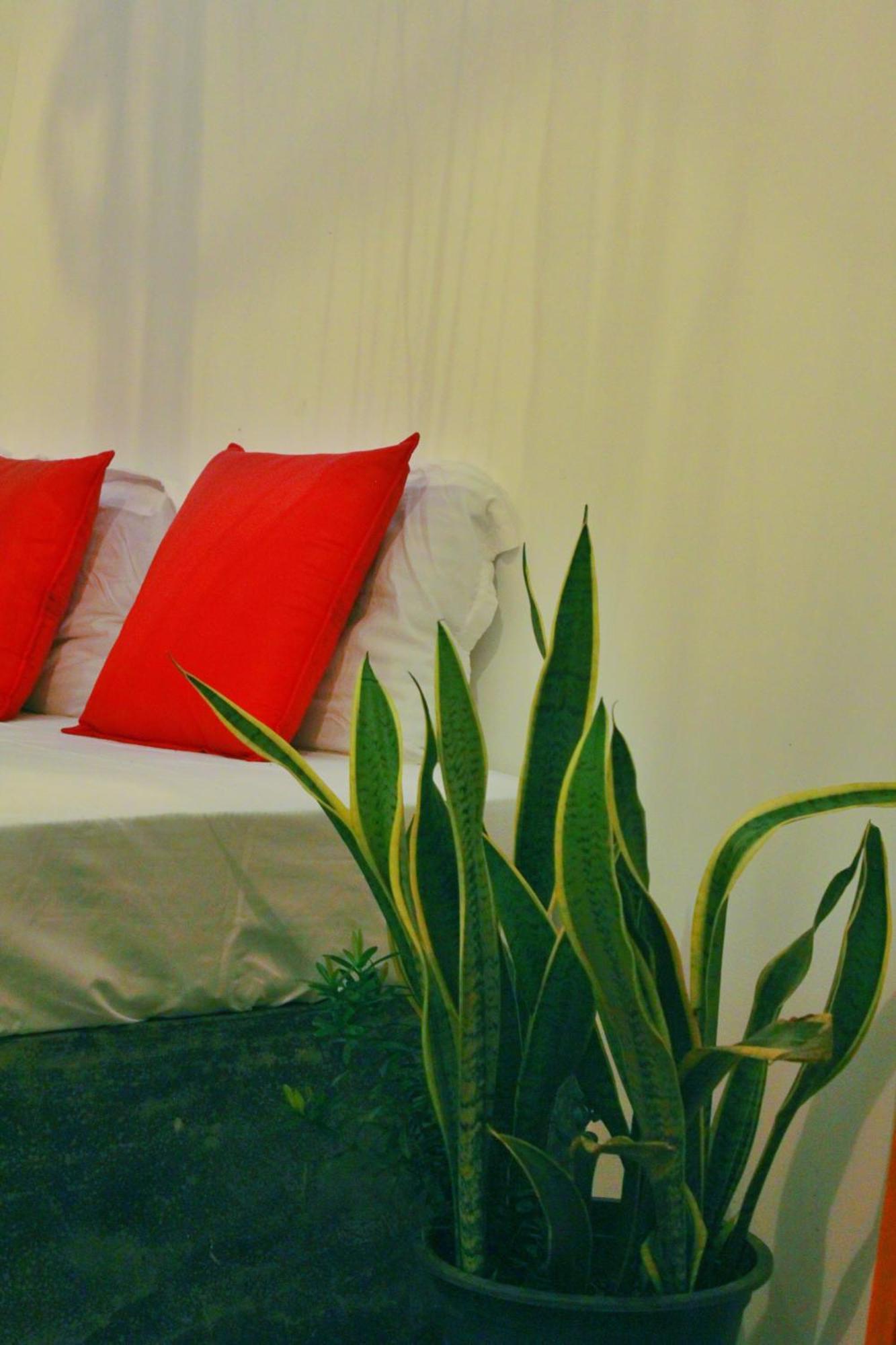 Linu Homestay ดิคเวลลา ภายนอก รูปภาพ
