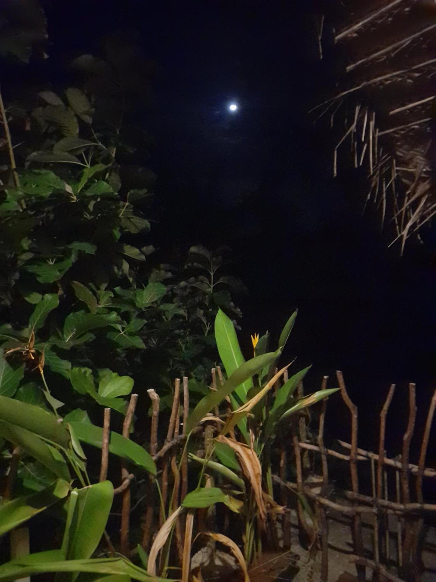 Linu Homestay ดิคเวลลา ห้อง รูปภาพ